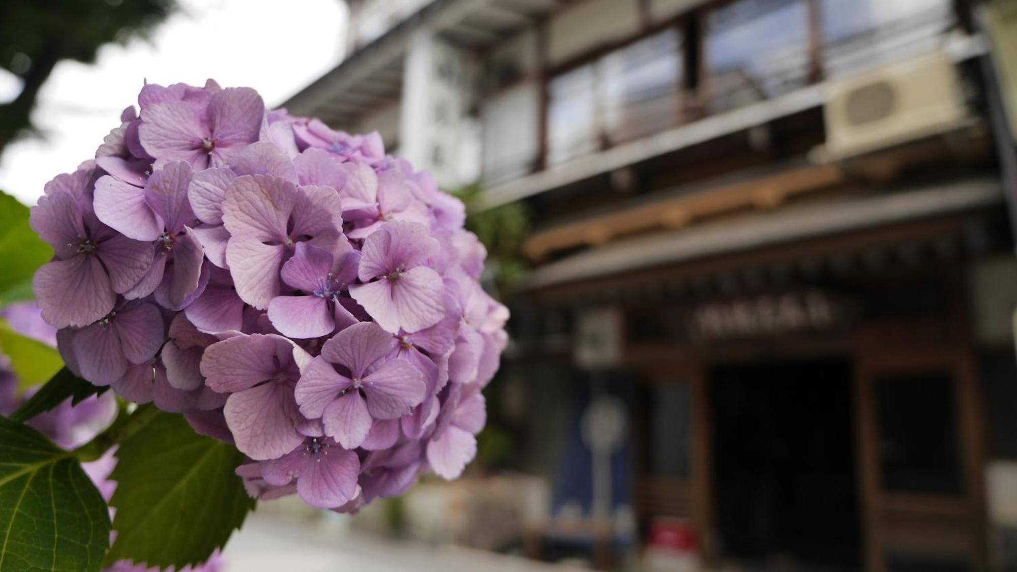 Shibu Onsen Koishiya Ryokan Yamanouchi  Bagian luar foto